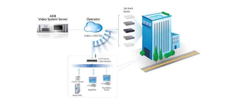 66302daa4f08ef000841eb76 Content Dam Btr Migrated 2013 06 Adb Cvschart