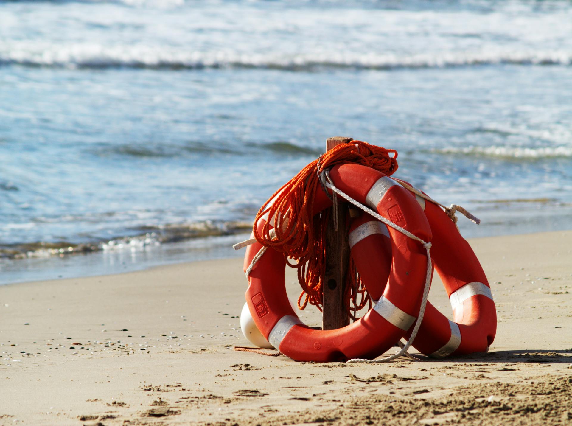 66304983cd13c900081da0b7 Dreamstime M 9949591