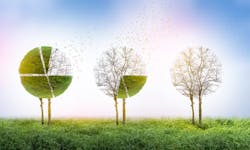 663049accd13c900081da0ea Sharewars 663049accd13c900081da0ea Sharewars