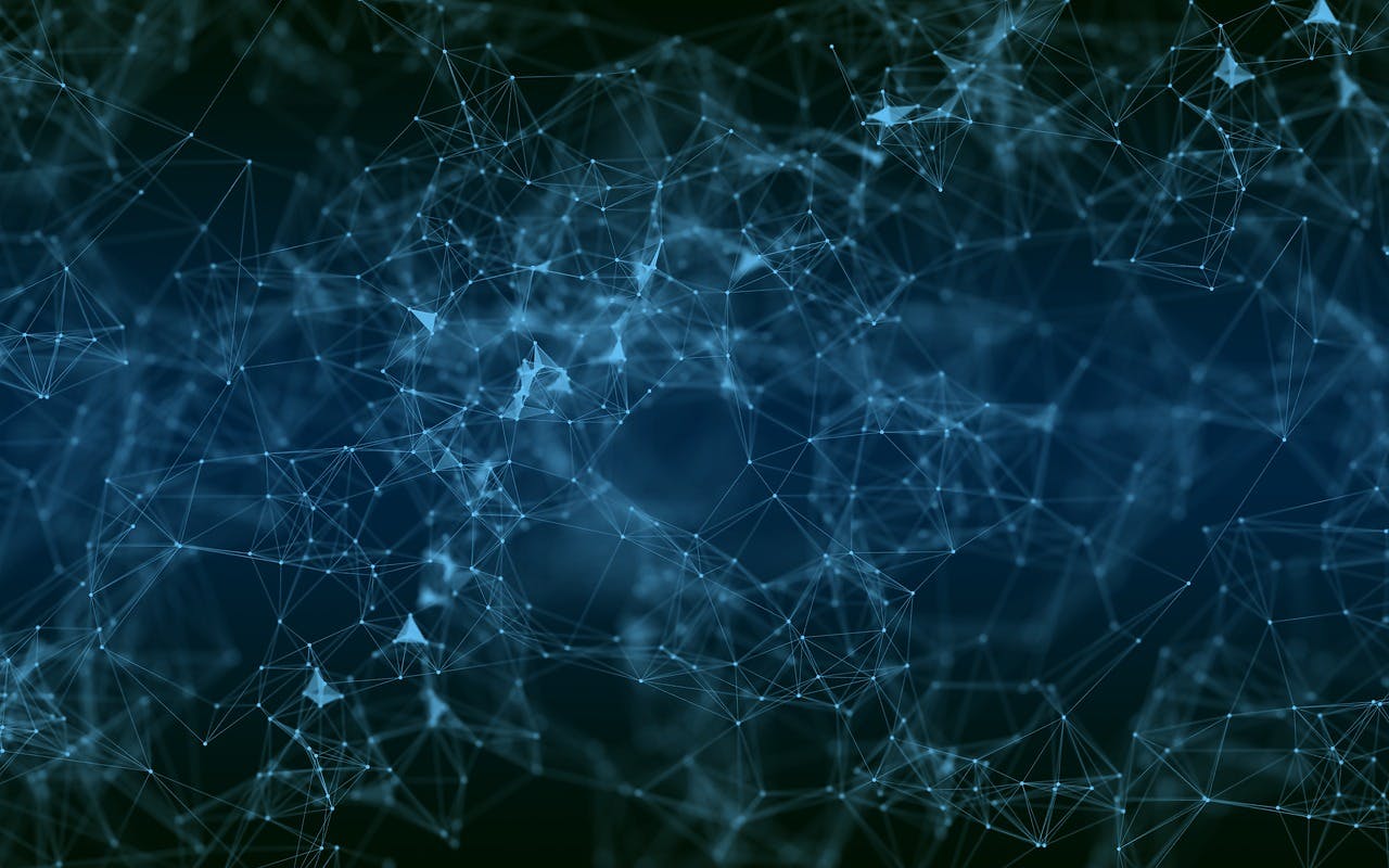 663049c9df0f3f0008b7f7d1 Network Thedigitalartist