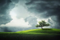 66304ad2cd13c900081da1c4 Ruralcloud Bessi 66304ad2cd13c900081da1c4 Ruralcloud Bessi