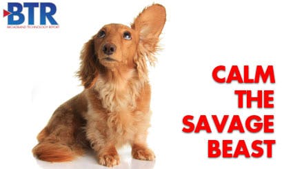 66305d21df0f3f0008b80c71 Content Dam Btr Migrated 2013 04 Btr Feature Art C