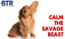 66305d21df0f3f0008b80c71 Content Dam Btr Migrated 2013 04 Btr Feature Art C 66305d21df0f3f0008b80c71 Content Dam Btr Migrated 2013 04 Btr Feature Art C