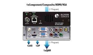 66305eaf168df80008ea3670 Blondertongue Hdechvqam 300x180