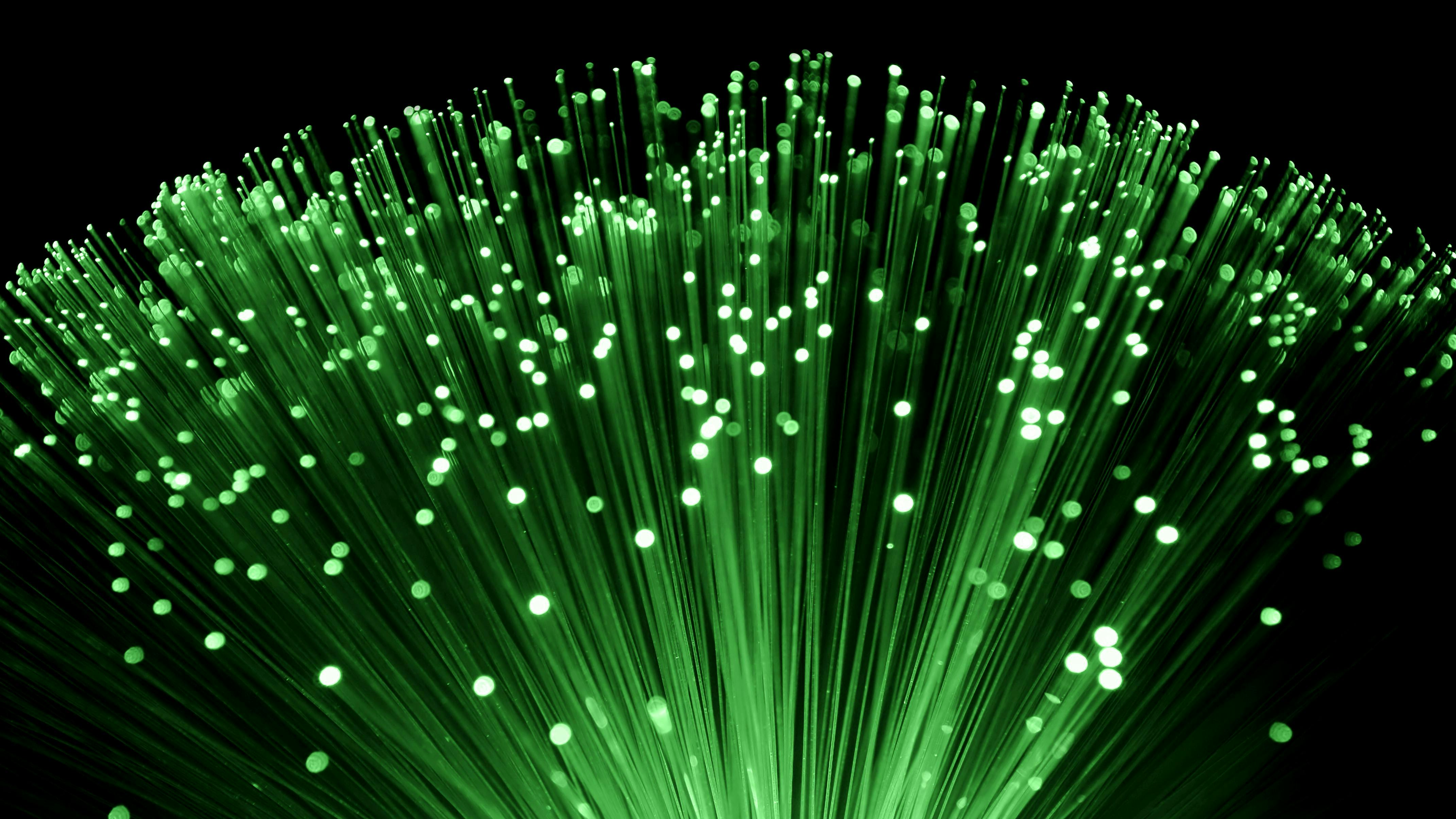 6630644b168df80008ea3b16 65fb2808f8a33c001ed9484edreamstime Xxl 14296042