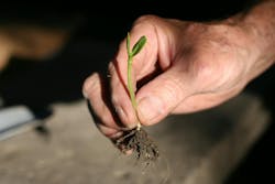 663065c3df0f3f0008b81328 Dreamstime M 2828045 663065c3df0f3f0008b81328 Dreamstime M 2828045