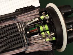 663066bddf0f3f0008b813d8 Fidium Fiber 663066bddf0f3f0008b813d8 Fidium Fiber