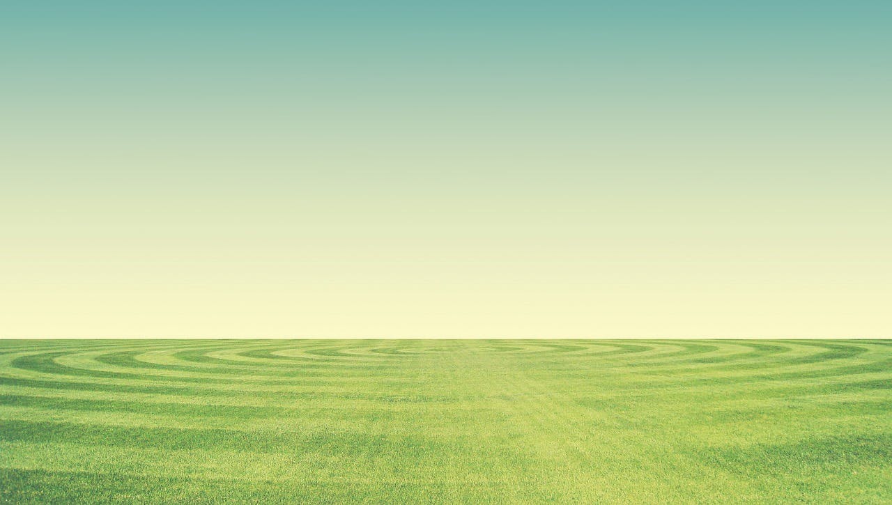 66306747df0f3f0008b81435 Background Divotomezove