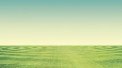 Background Divotomezove