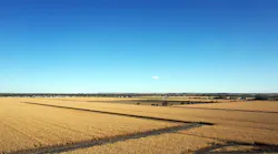 A rural Nebraska landscape.