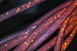 663067a5168df80008ea3d7b Fiber Lucent Designs Dinoson20 663067a5168df80008ea3d7b Fiber Lucent Designs Dinoson20