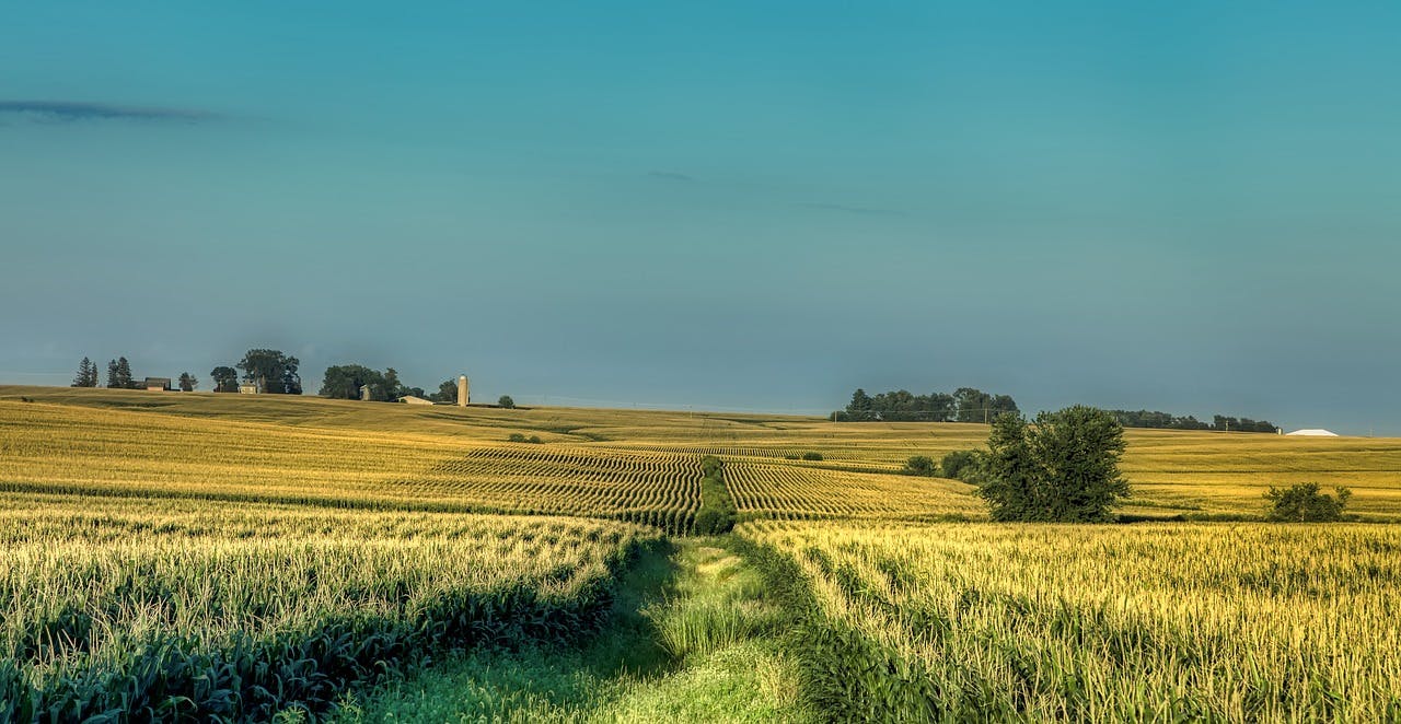 A farm in rural Iowa.