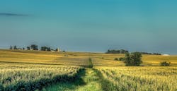 A farm in rural Iowa. A farm in rural Iowa.