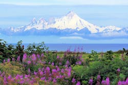 Mt Iliamna, Alaska Mt Iliamna, Alaska