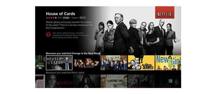663079dbcd13c900081dc9ba Content Dam Btr Migrated 2013 11 Netflix Ui