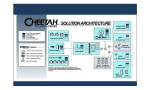 663081ee168df80008ea4f80 Cheetah Diagram 300x180
