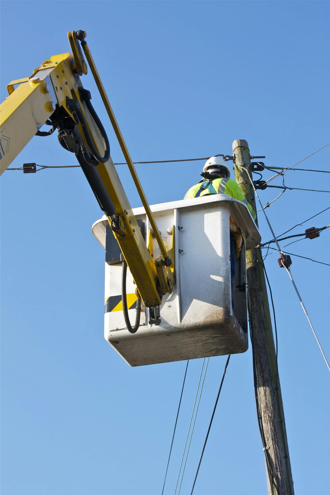 istock_000019203620_medium