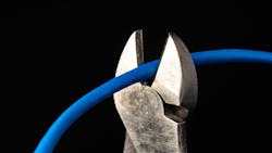 66c4cd1b5c9b3024e9631ee4 Gettyimages1794292866 66c4cd1b5c9b3024e9631ee4 Gettyimages1794292866