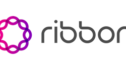 rib_logo_hor_1_color_101r01
