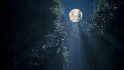 The full moon seen through a clearing in tree branches. The full moon seen through a clearing in tree branches.