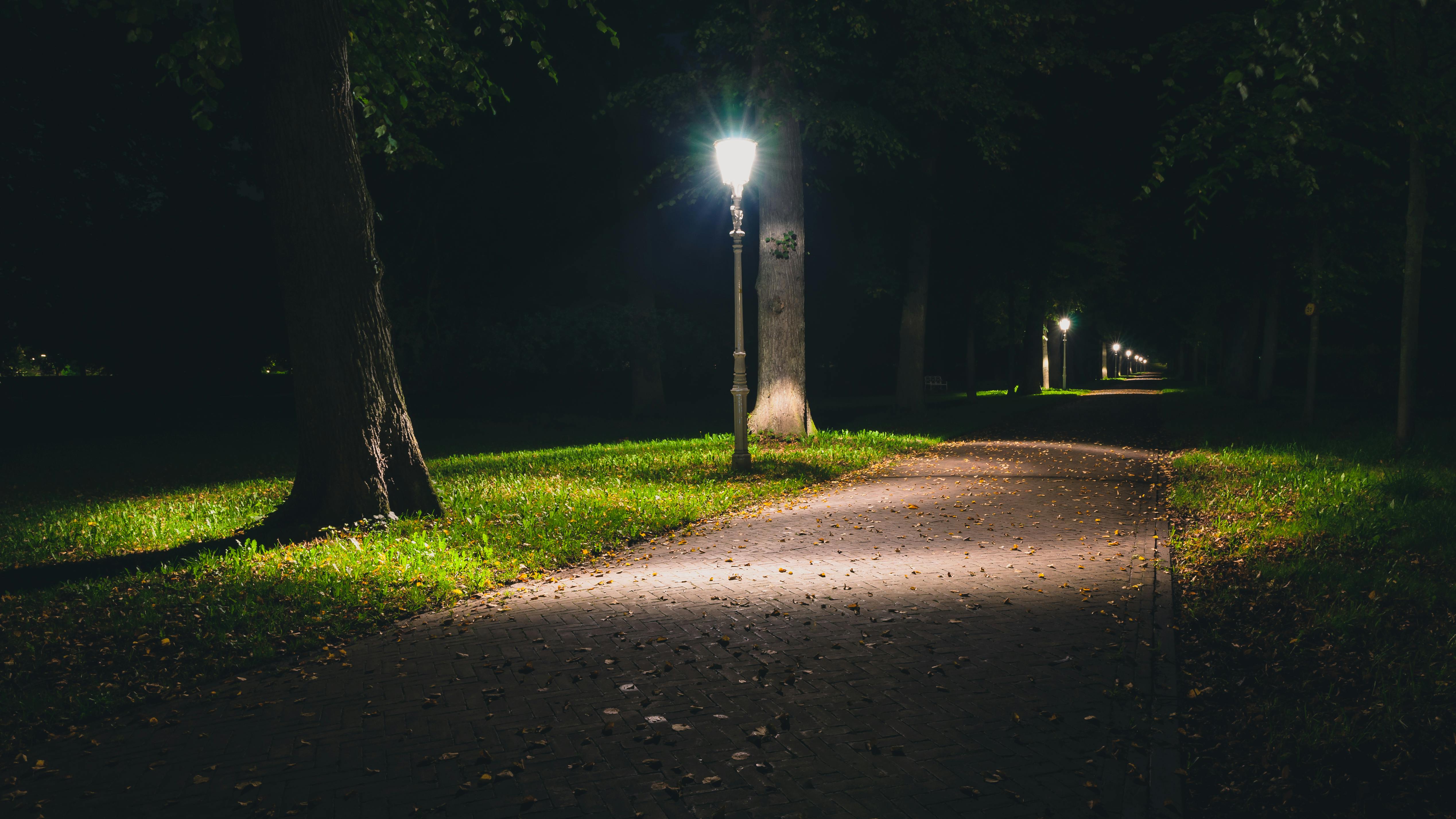 A streetlamp next to a path in a park