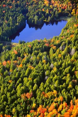 GoNetspeed makes fiber service available in four Vermont communities. GoNetspeed makes fiber service available in four Vermont communities.