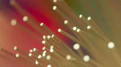 65dcde03f3ea9b001e842423dreamstime_m_16964254