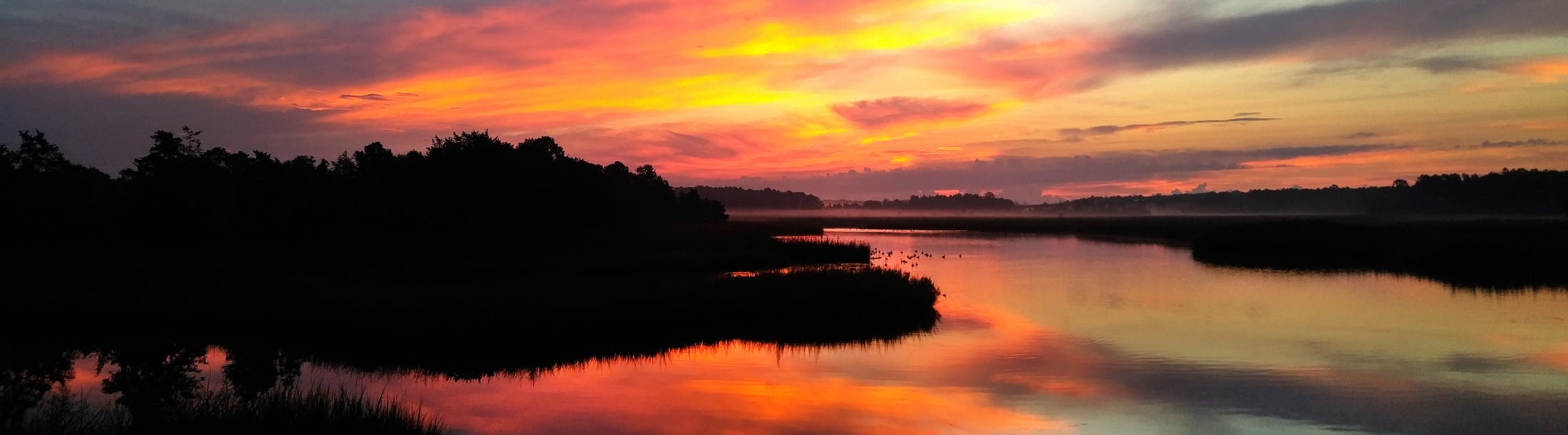 68a5e22e22ba685c5b768239 Document