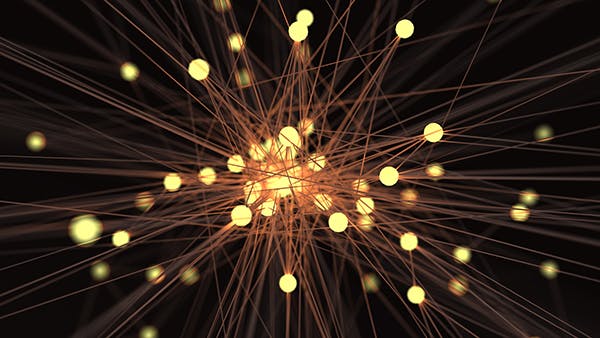 AI-Ready Optical Transport from DCI to Ultra-Long-Haul