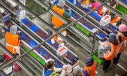 Nokia, Chorus and 2Degrees launched a 25G PON trial last year with New Zealand’s Cherry Corp. Nokia, Chorus and 2Degrees launched a 25G PON trial last year with New Zealand’s Cherry Corp.