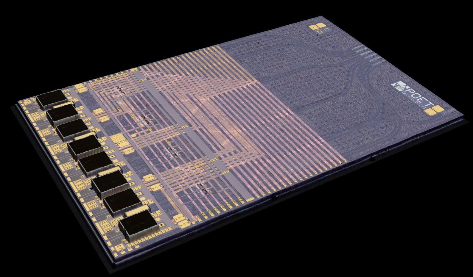 6983c5390e4190f2ca04c511 Poet1